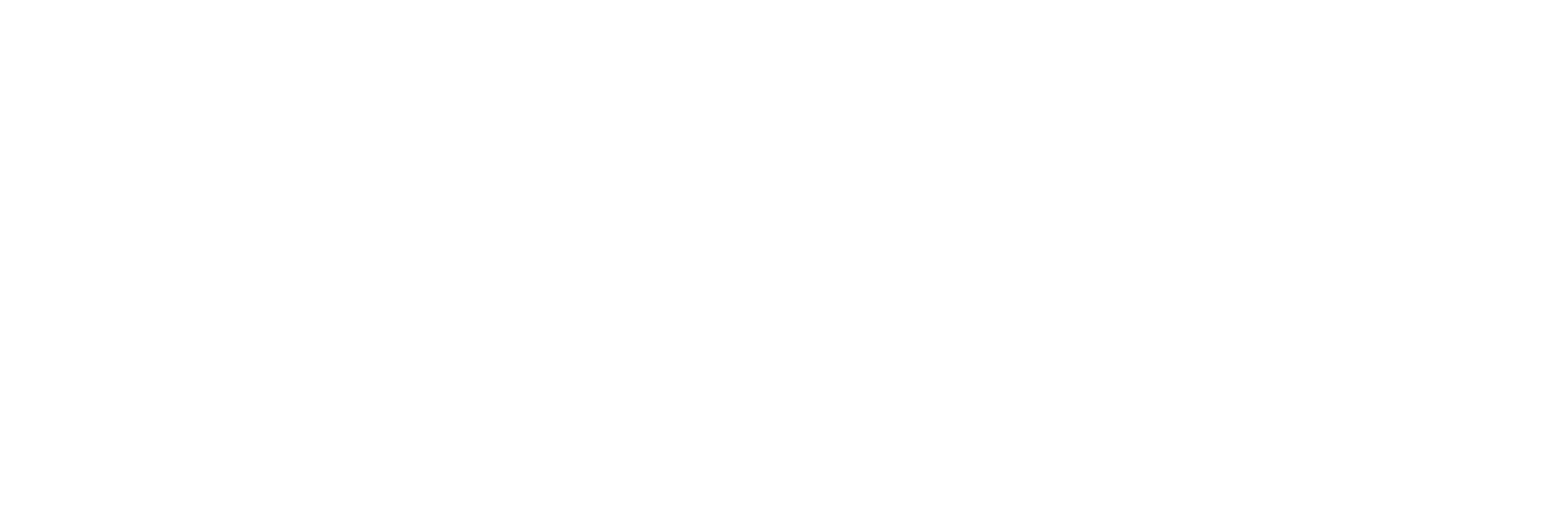Stefanini